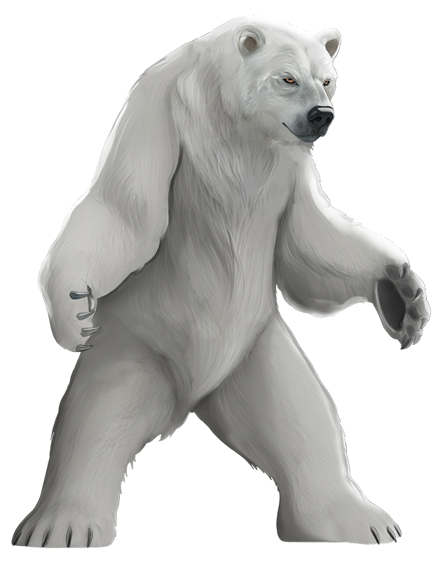 Polar Bear